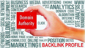 Graphic showin a hand holding a box that says "Domain Authority" - SearchEngineNews.com