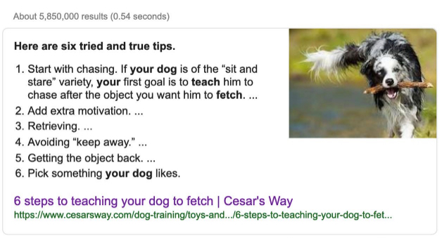 how-to-teach-your-dog-to-fetch-search-result.jpg