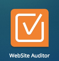 SEN Website Auditor Tool
