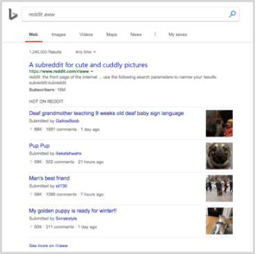 subreddit_search_result_example_bing.png