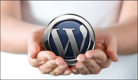 WordPress 101